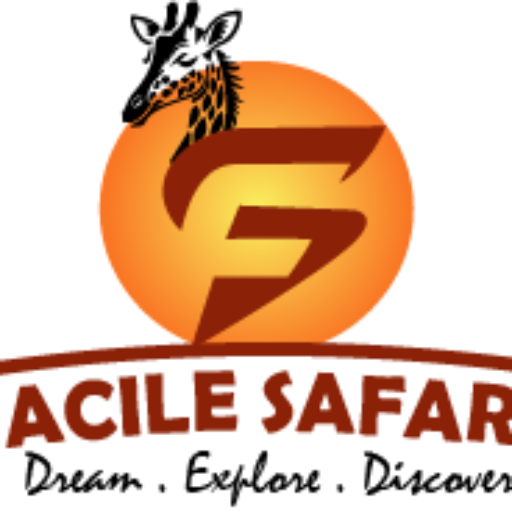 Facile Safaris - Tours and Travel